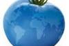 Blue Tomato: В ритейле главное - скорость