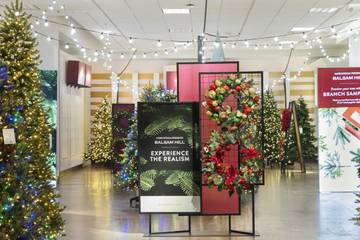 Nordstrom to sell Christmas trees in partnership with Balsam Hill