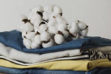 Déforestation illégale au Brésil : Zara et H&M visés par une ONG britannique