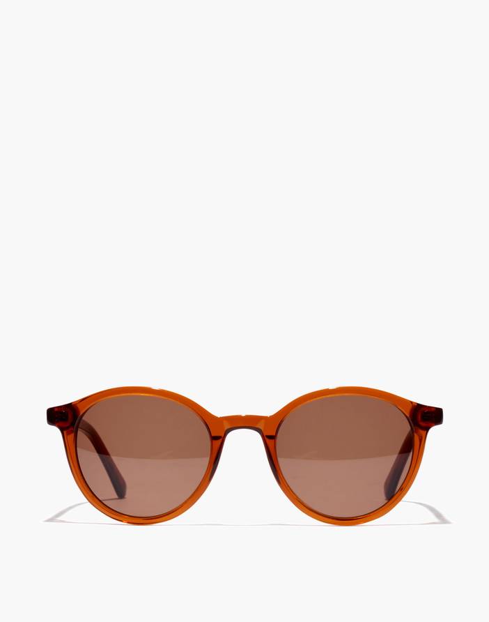 Layton Sunglasses | Madewell
