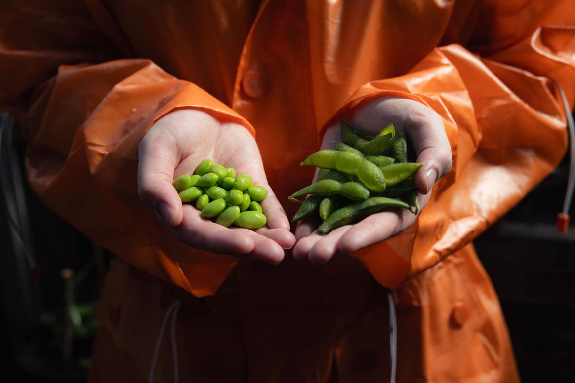 BrightBio, a next-generation, bio-based material engineered for sustainable performance.