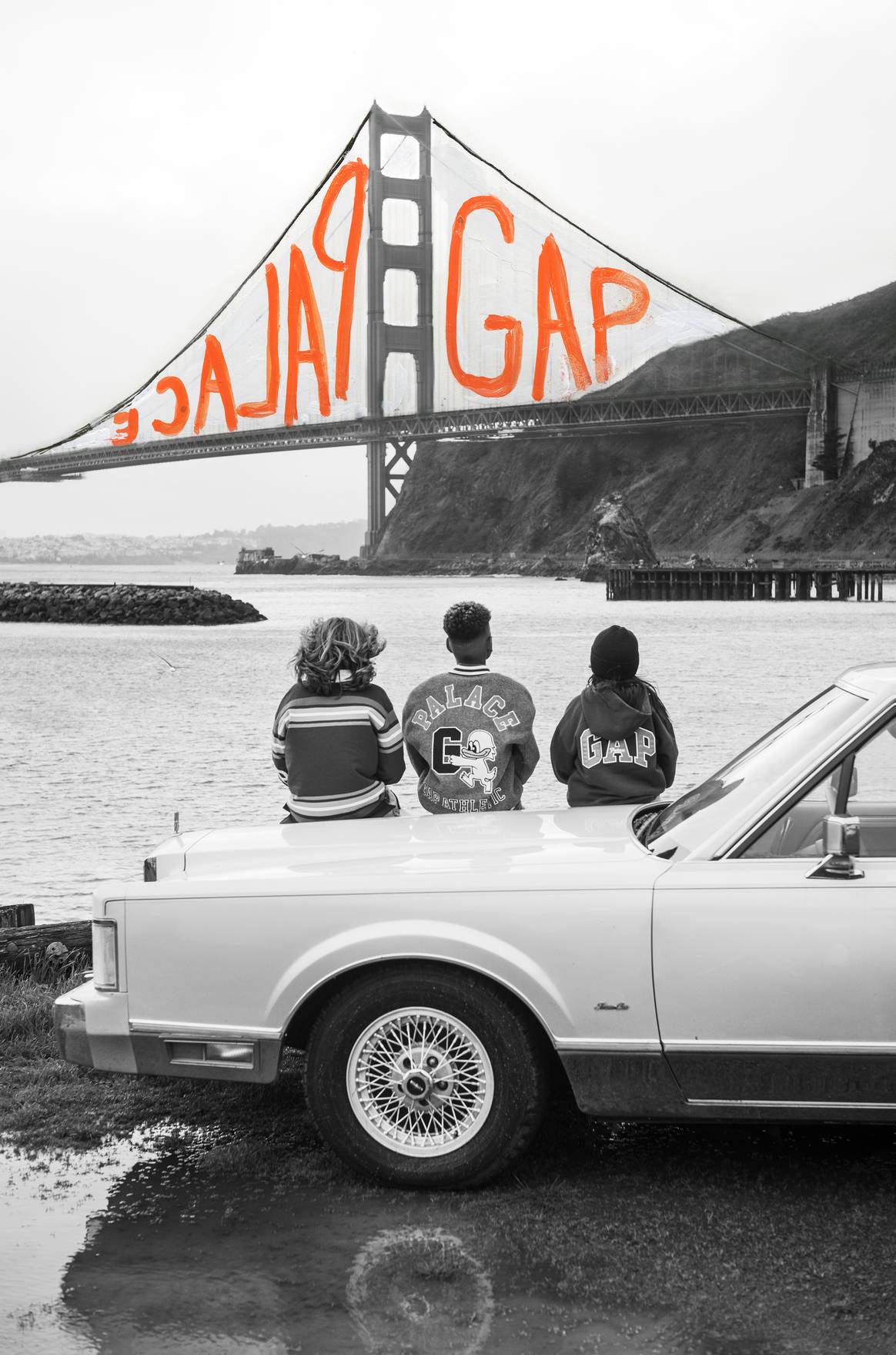 Palace Gap campaign