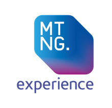 Mustang Experience