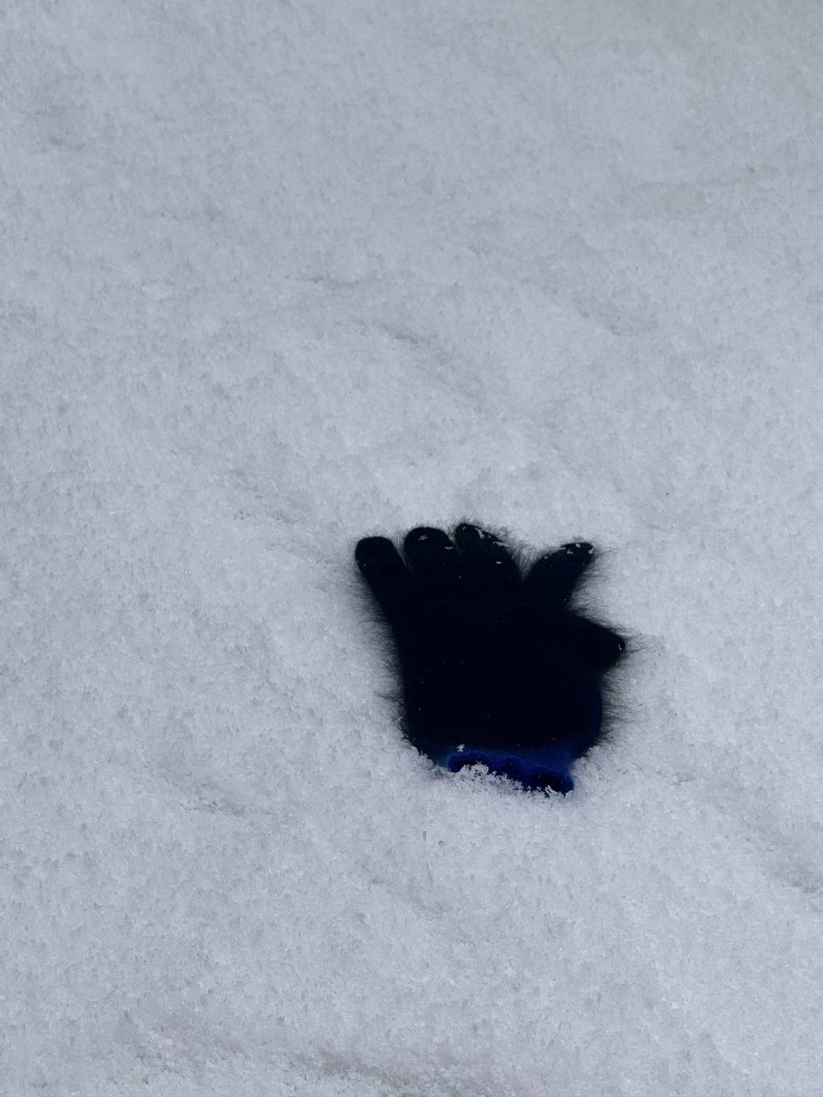 A lost glove at Shinyakozuka's show