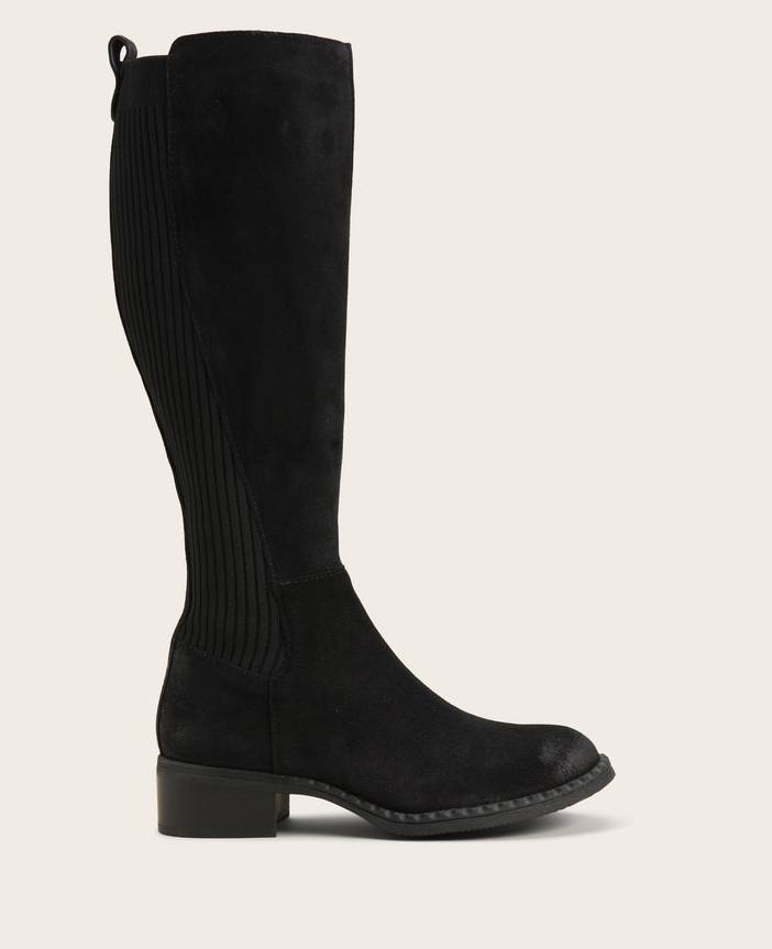 Gentle Souls | Best Leather Tall Moto Boot | Kenneth Cole