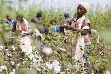 “The farmers profit in any case“- Tina Stridde, Aid by Trade Foundation