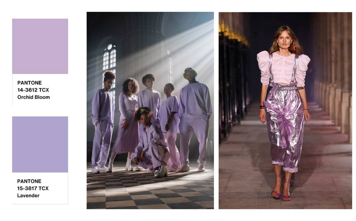 Image credit: Pexels, and MiuMiu SS21 and Dior FW21 via Catwalkpictures