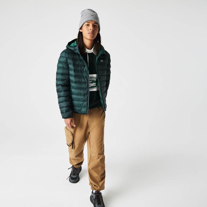 Herren Lacoste Steppjacke mit Kapuze | Lacoste