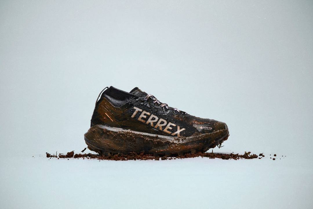 Adidas' Terrex Agravic Gore-Tex shoes.