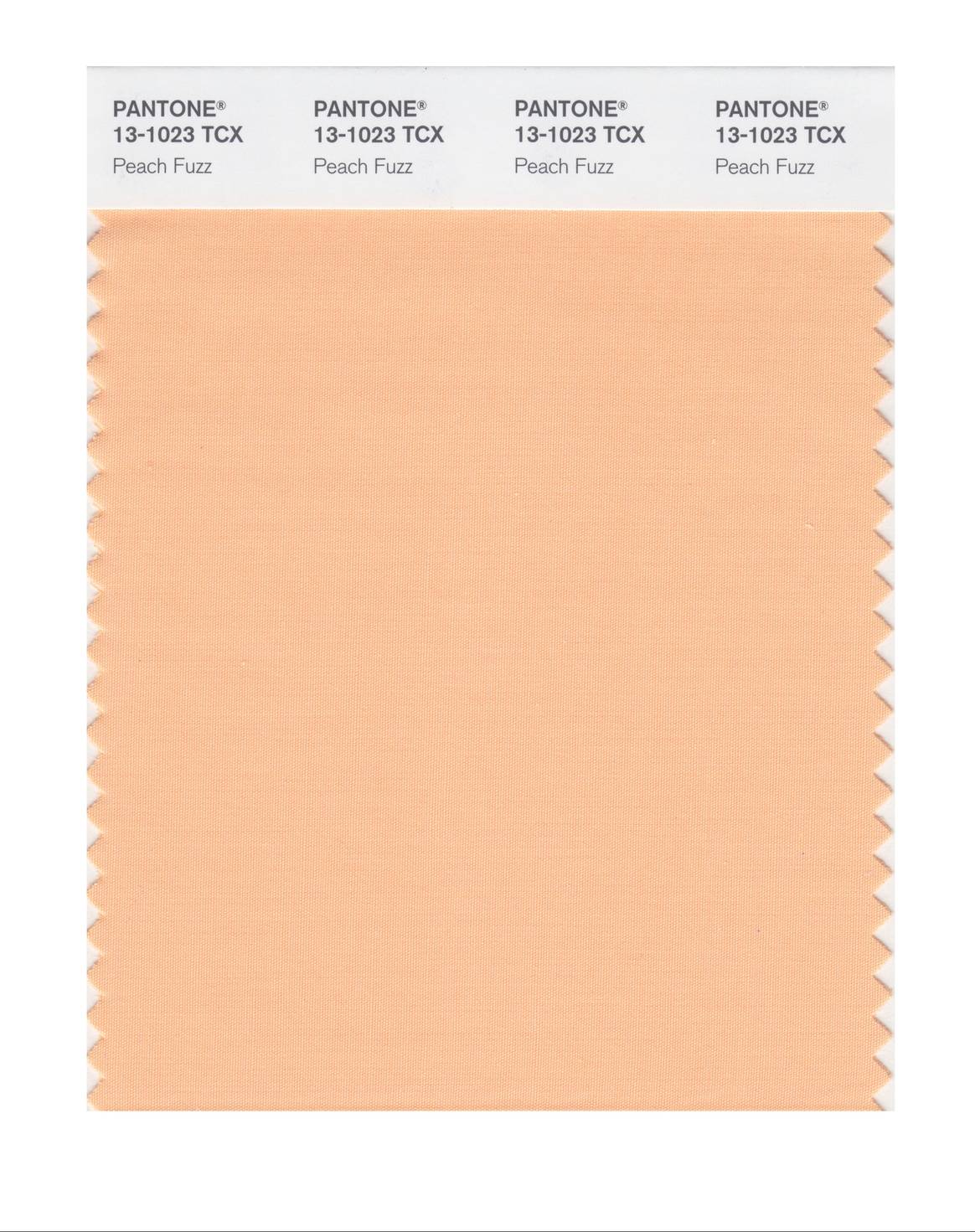 Pantone 'Peach Fuzz' - Colour of the Year 2024