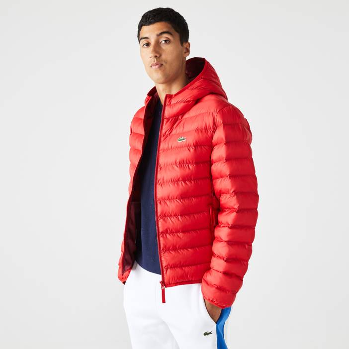 Herren Lacoste Steppjacke mit Kapuze | Lacoste
