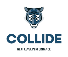 COLLIDE
