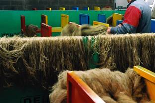 Le lin européen confirme sa place sur le podium des fibres vertueuses