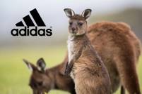 Adidas halts sourcing Kangaroo skins for its athletic footwear