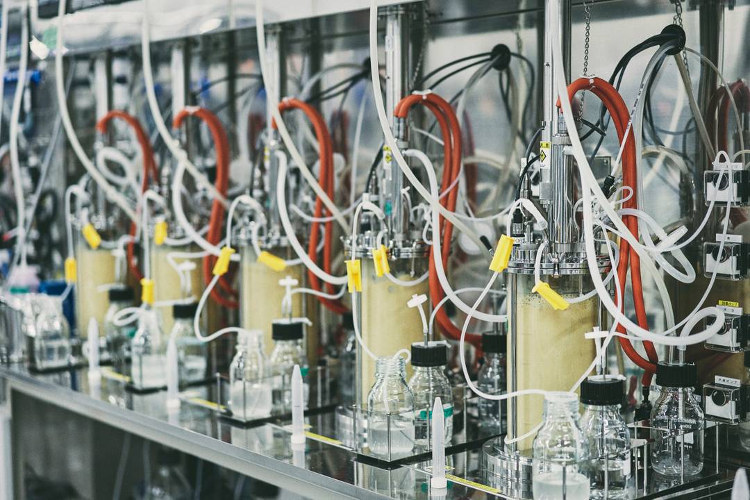Het fermentatieproces.