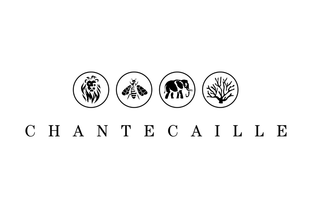 Chantecaille expands Asian presence with Tmall