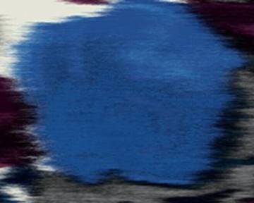 Company Profile header Christian Dior