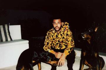 The Weeknd and A Bathing Ape team for capsule by Official Issue