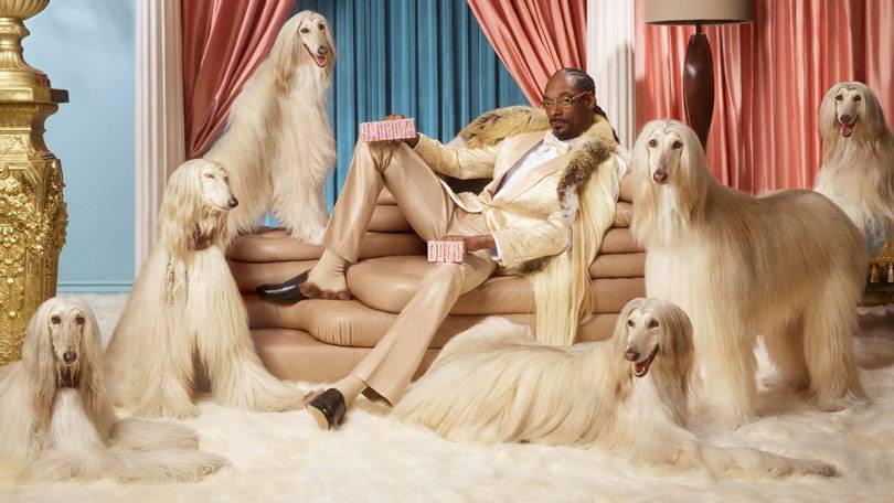 Snoop Dogg becomes a shareholder in Klarna