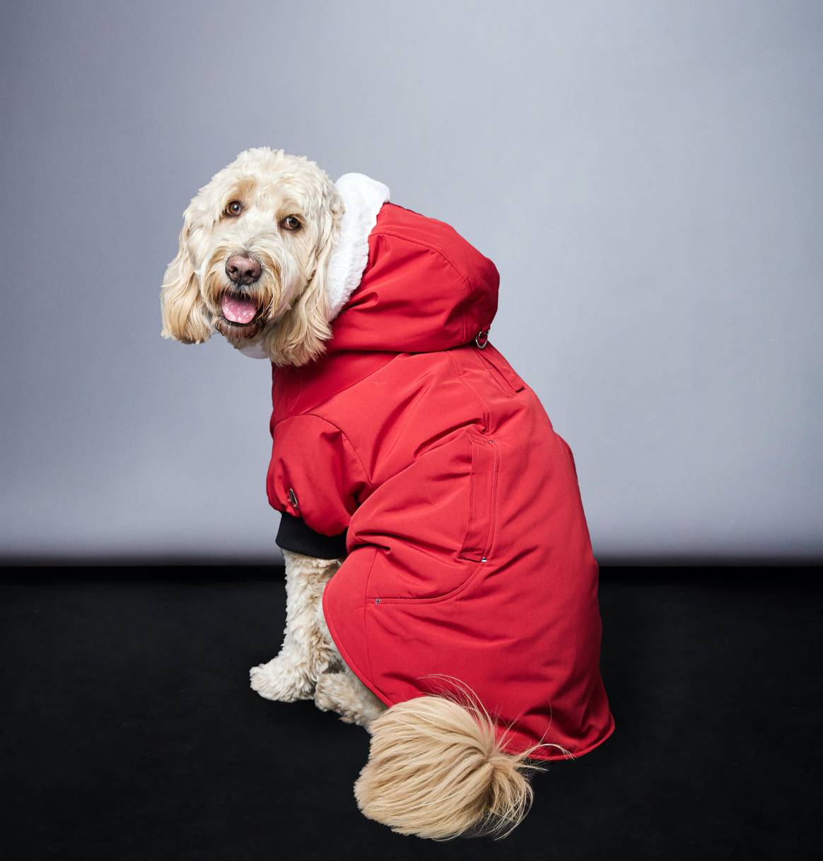 Image: Moose Knuckles; Pooch Knuckles photographed by Donat Boulerice