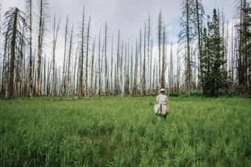 Zegna lancia un'iniziativa di conservazione ambientale ad Aspen
