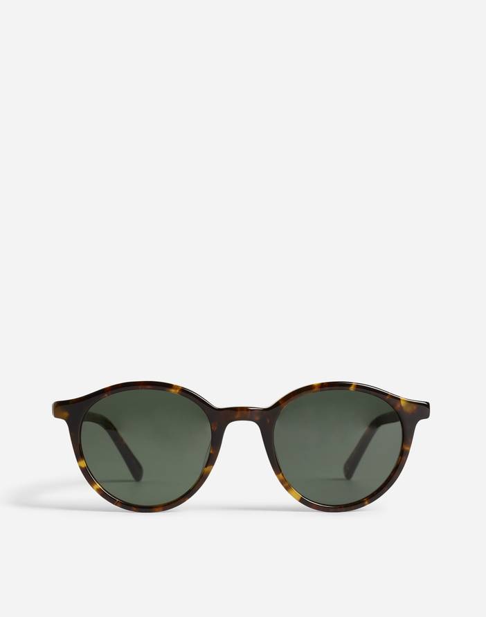 Layton Sunglasses | Madewell