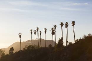 Los Angeles, l'icône cool d'un nouveau chic dans la mode masculine