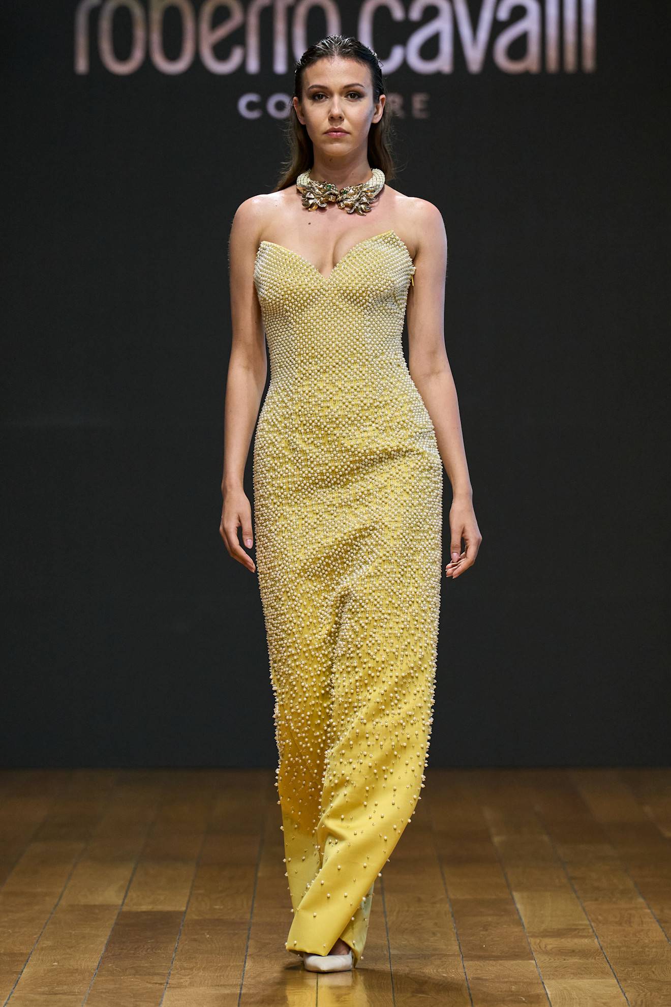 Roberto Cavalli RTW SS26