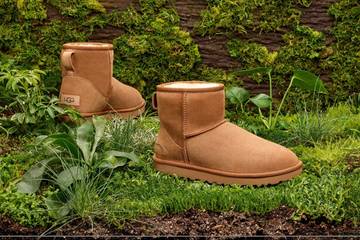 Ugg-Mutter Deckers Brands mit Umsatzplus im zweiten Quartal 