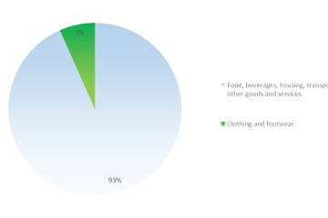 Fashion Statistics Brazil