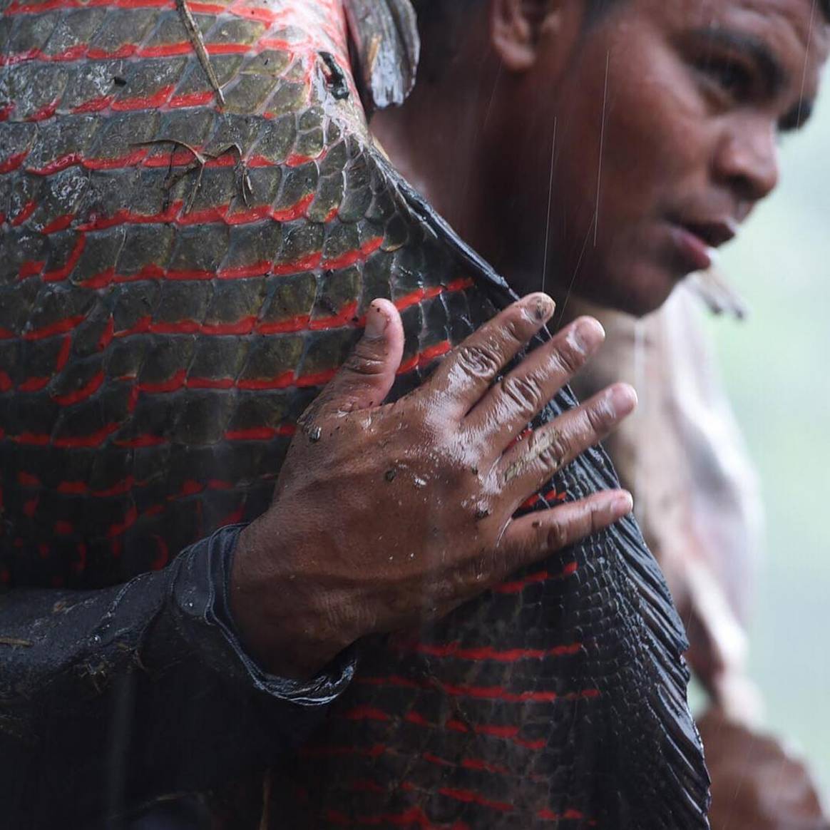 How Brazil’s Osklen became a research hub for sustainable fabrics