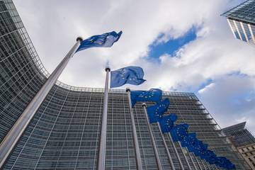 La Unión Europea “bloquea” la deforestación global y pone coto al uso del caucho natural