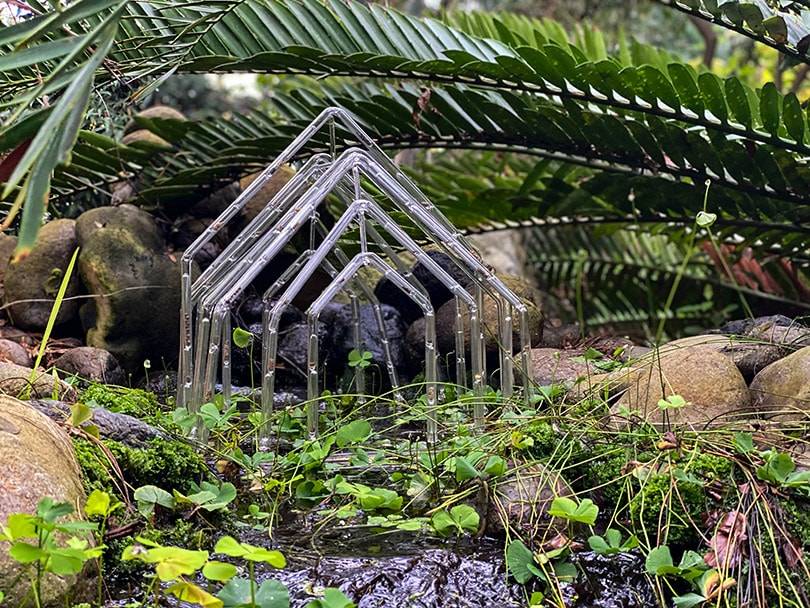 Eeuwenoude Hortus-collectie inspireert jonge kunstenaars voor Moam-tentoonstelling