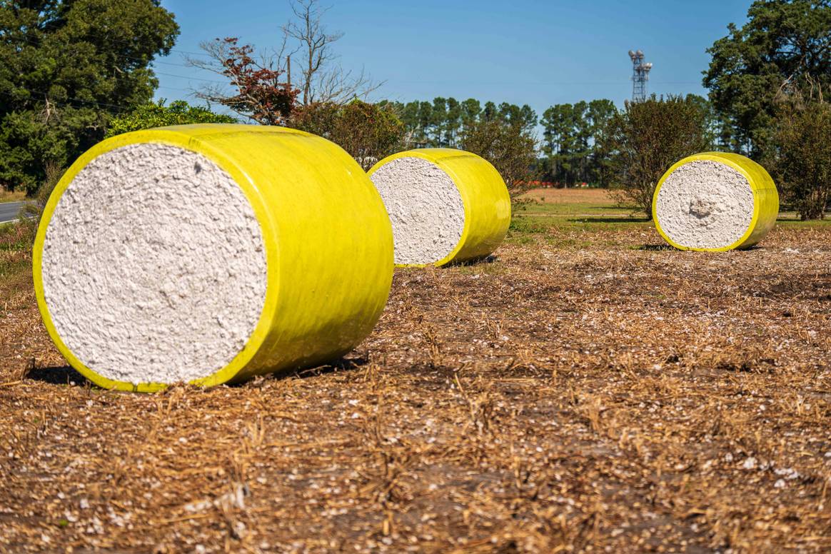 Textile Exchange will ganzheitliche positive Auswirkungen in der Faser- und Rohstoffproduktion erreichen. Foto: Mark Stebnicki für Pexels