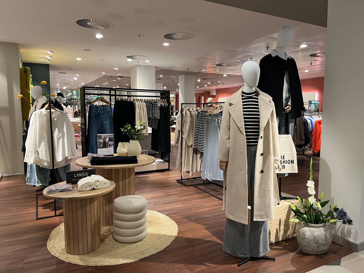 Lanius-Pop-up bei Stackmann in Buxtehude.
