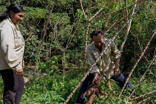 LVMH and UNESCO expand joint Amazon project