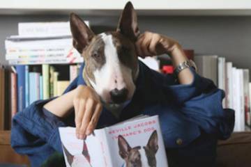 Neville, el perrito de Marc Jacobs publica un libro