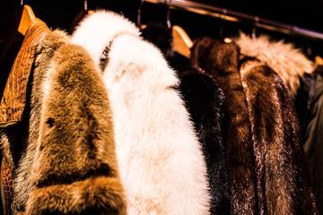 LVMH werkt komende twee jaar met onderzoekers aan kunstmatig alternatief voor bont 