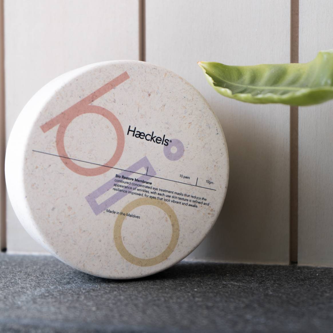 Image: Haeckels