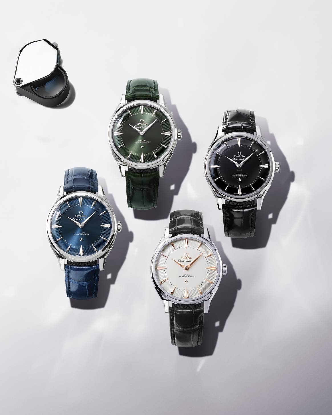 OMEGA Observatory Family Steel.