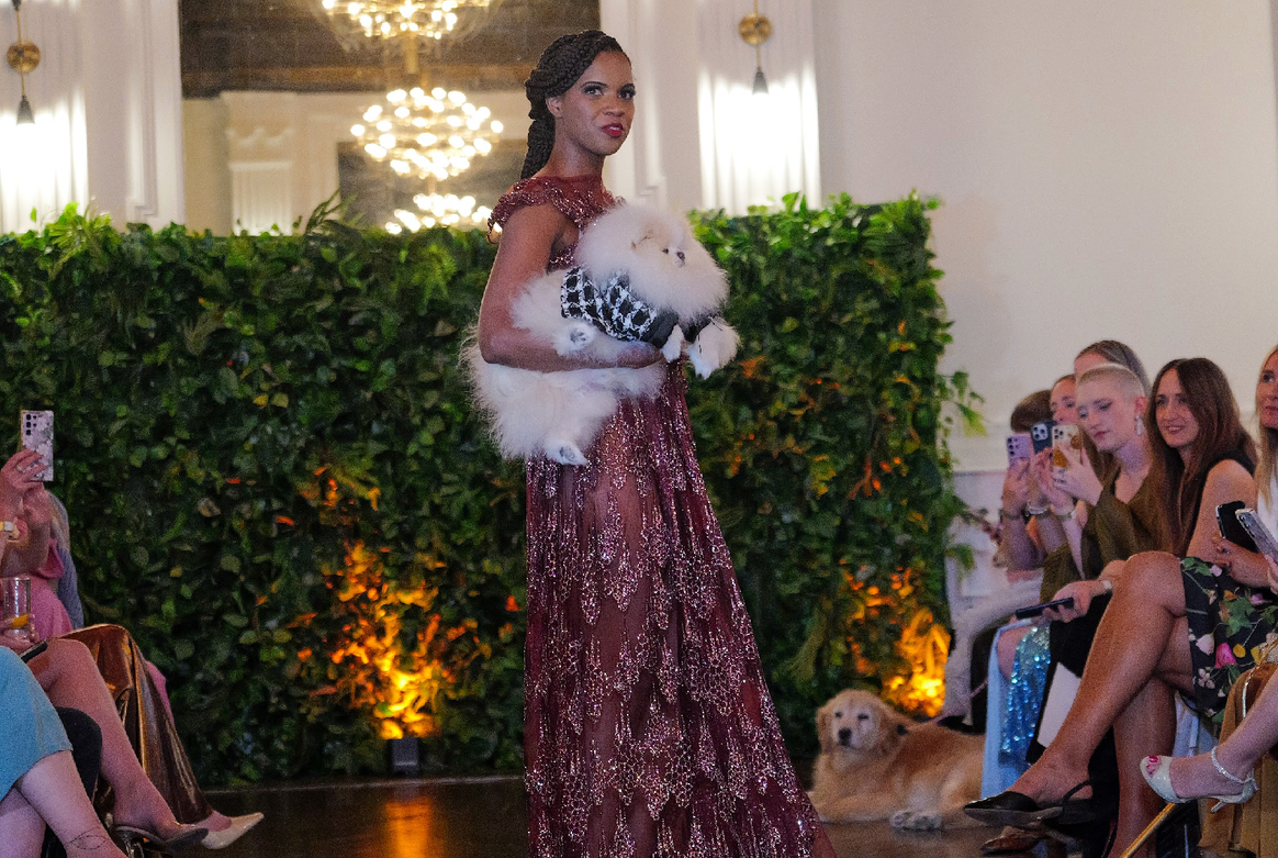 Fluffing paw-fect - Dusty, a Pomeranian, as in Colman Domingo’s second outfit of the evening, a Valentino suit. Don’t miss the lab in the audience checking her out!