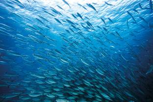 Navigateurs et marins : 50 ans d’art textile pour défier les éléments