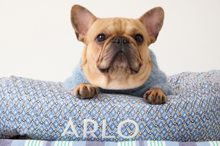 Mark & Graham launch new collection designed exclusively for pets