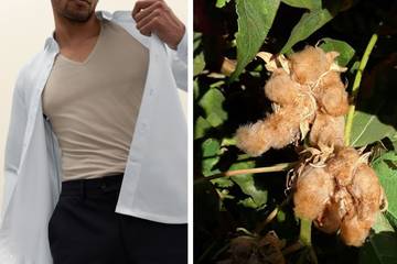 Kledingmerk Girav gaat samenwerking aan voor kweken natuurlijk gekleurde katoen