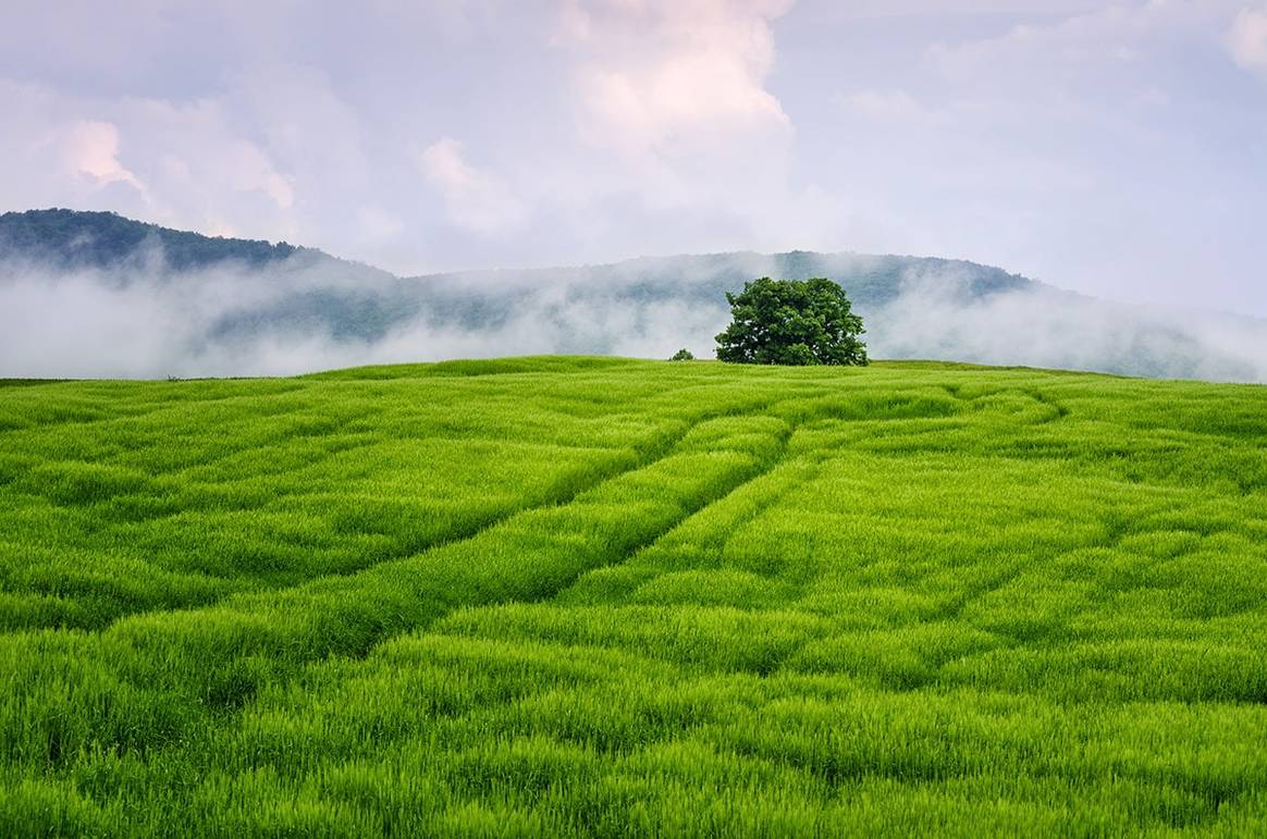 Faccia un respiro profondo! In che modo le aziende tessili possono ridurre le loro emissioni di CO2 e quelle dei loro fornitori