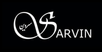 Logo Sarvin