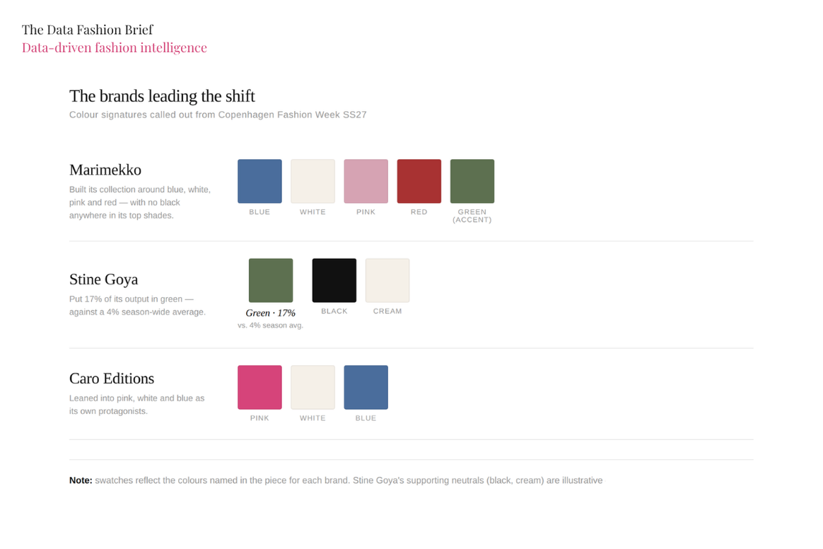 Créditos: The Data Fashion Brief