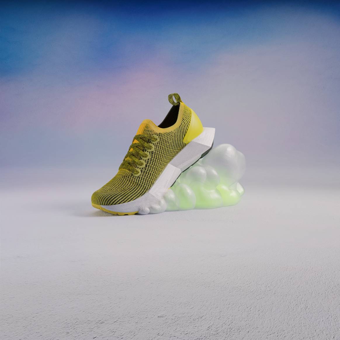 Image: Allbirds