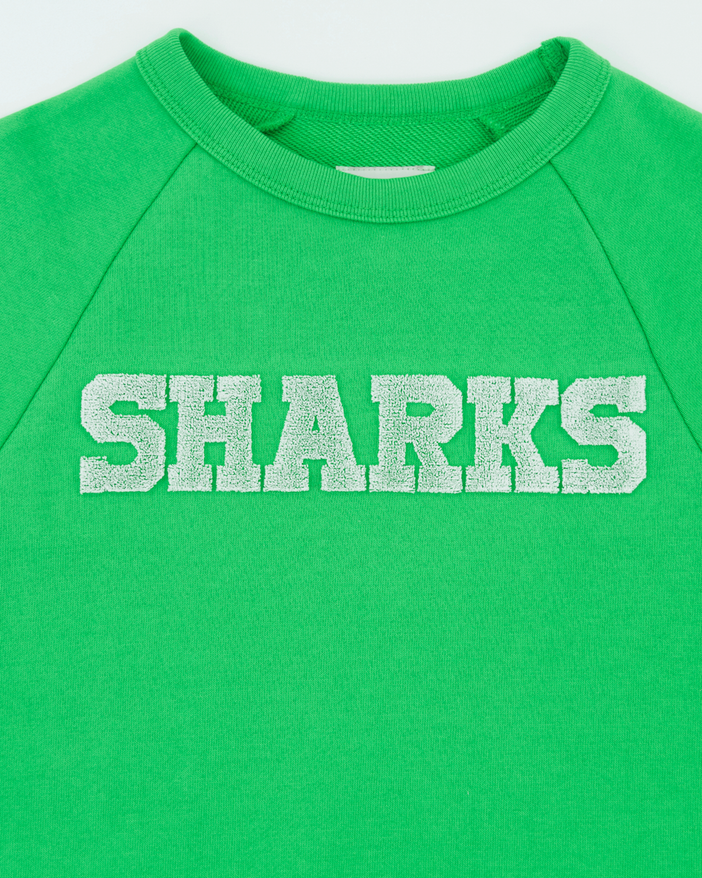 Luis sweater sharks | Ao76