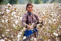 Textile Exchange recalibrates for 2030 with a sharper focus on systems change